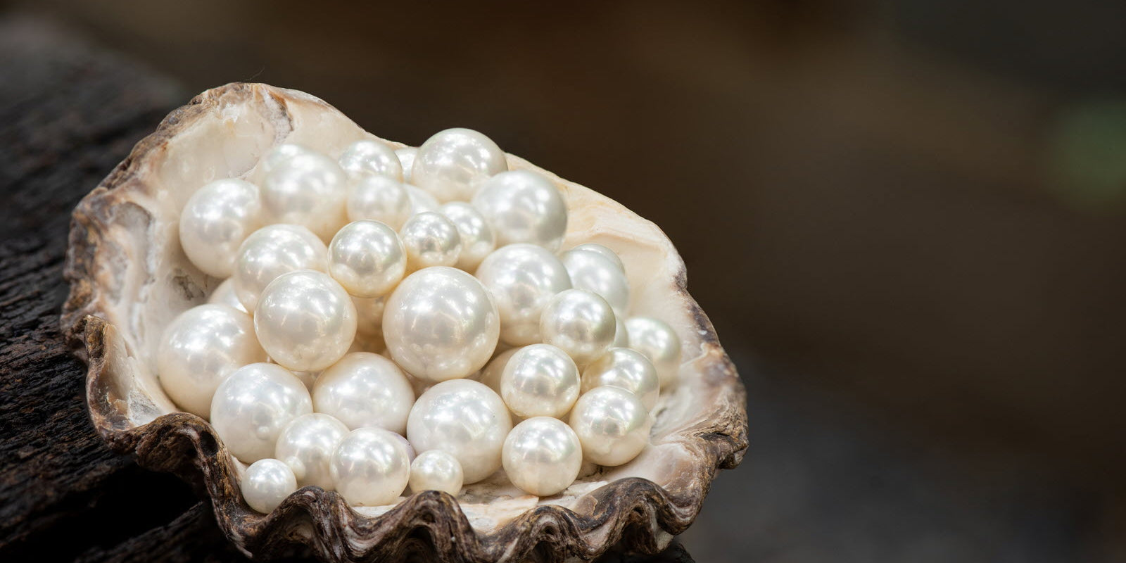 ⁠L’origine des perles blanches