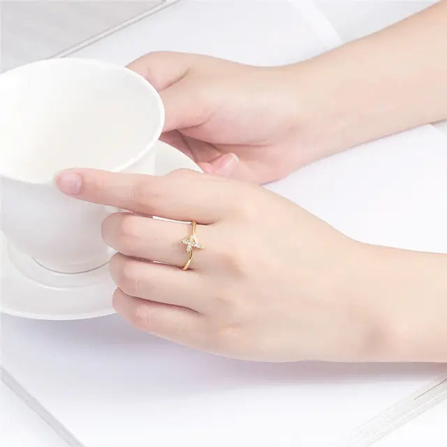 Image de diapositive