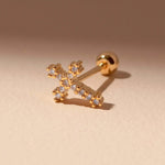 Image de diapositive