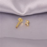 Image de diapositive